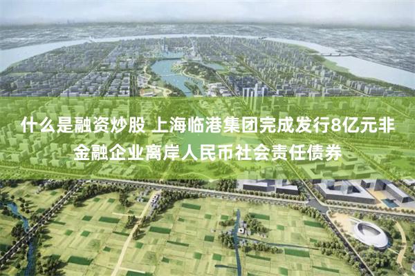 什么是融资炒股 上海临港集团完成发行8亿元非金融企业离岸人民币社会责任债券