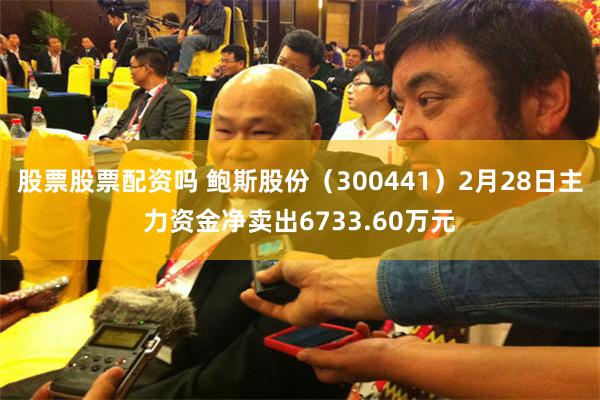股票股票配资吗 鲍斯股份（300441）2月28日主力资金净卖出6733.60万元