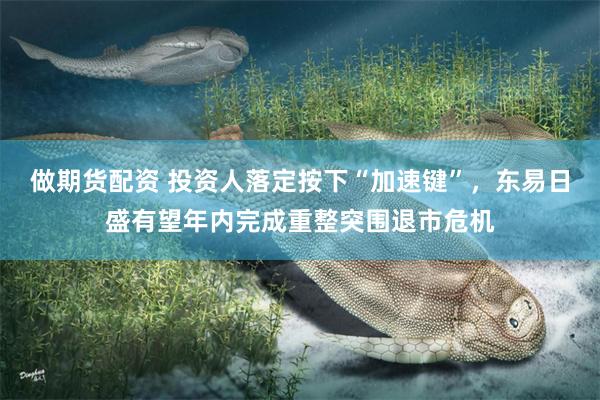 做期货配资 投资人落定按下“加速键”，东易日盛有望年内完成重整突围退市危机