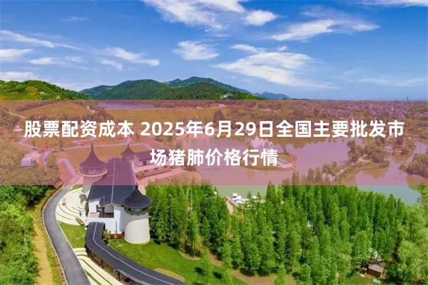 股票配资成本 2025年6月29日全国主要批发市场猪肺价格行情